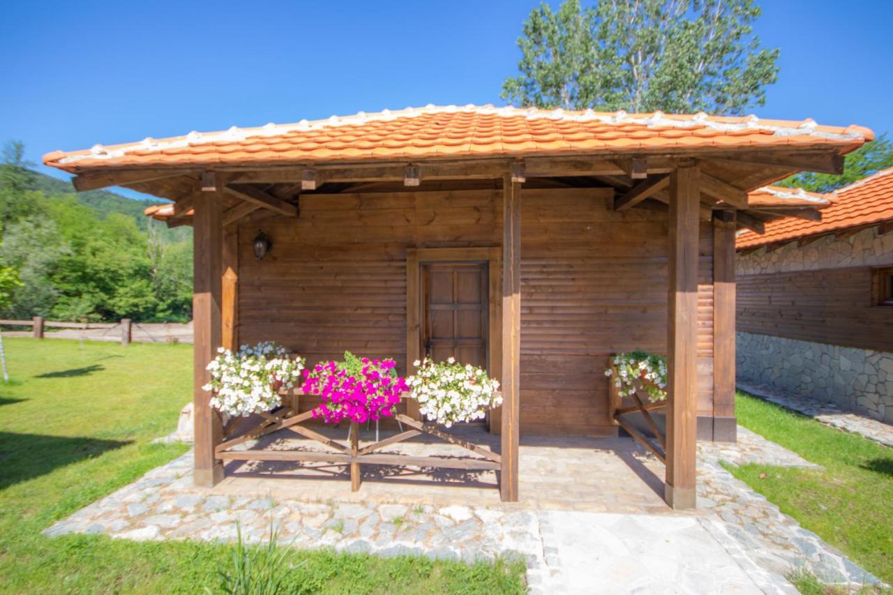 Etno Selo Svodje Apartment Vlasotince Bagian luar foto