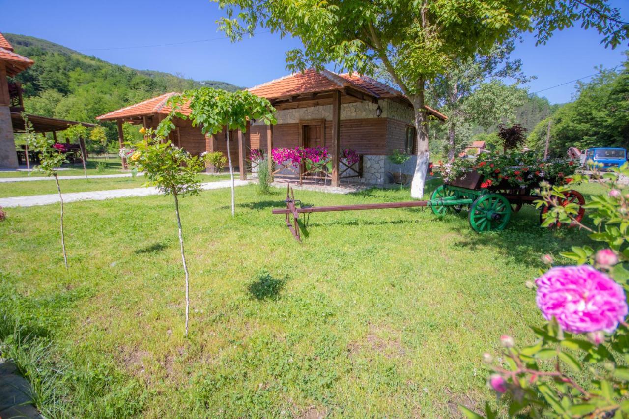 Etno Selo Svodje Apartment Vlasotince Bagian luar foto