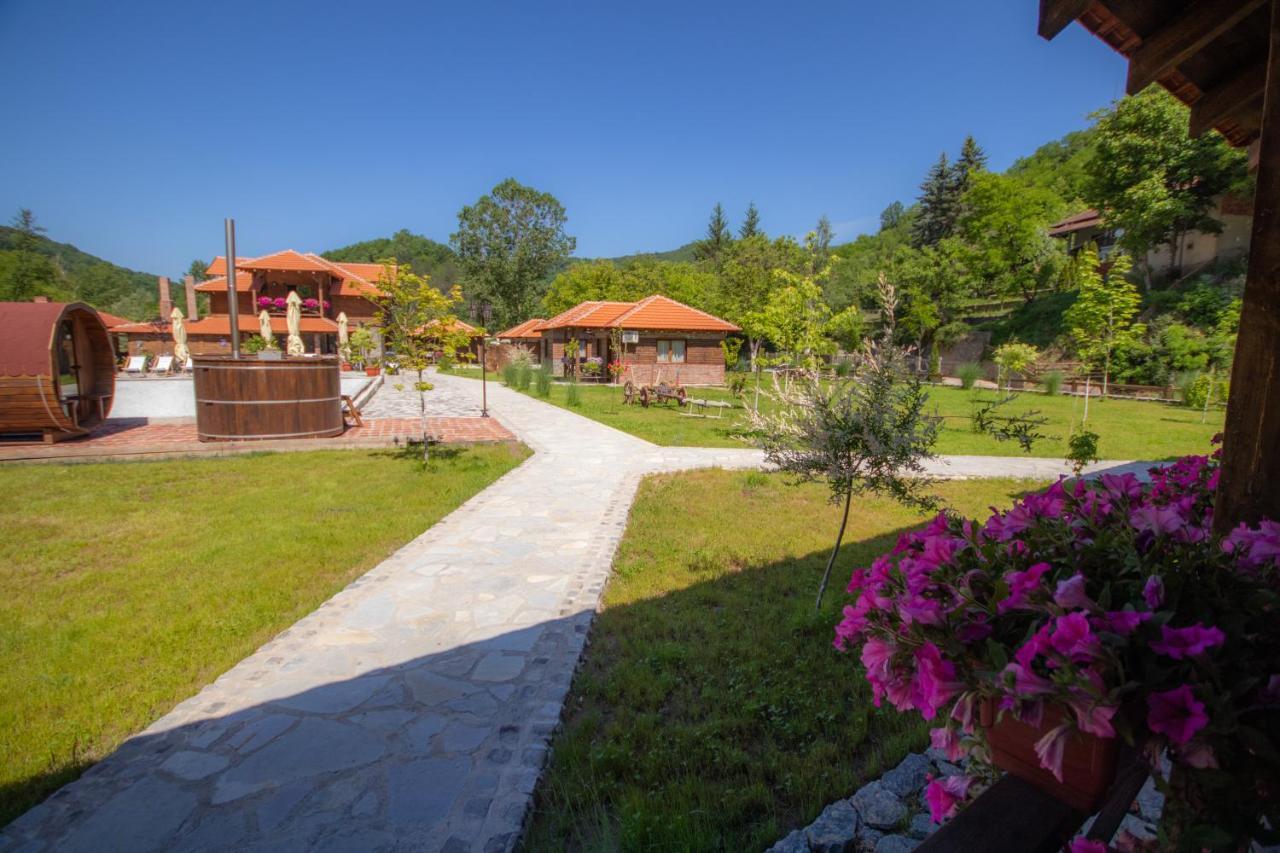 Etno Selo Svodje Apartment Vlasotince Bagian luar foto