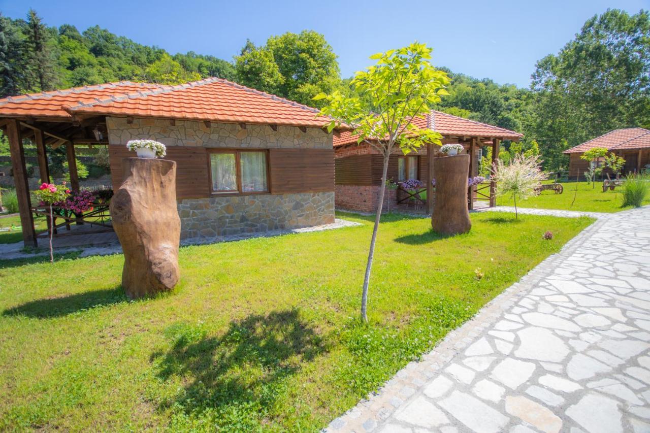 Etno Selo Svodje Apartment Vlasotince Bagian luar foto